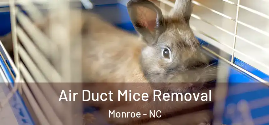 Air Duct Mice Removal Monroe - NC