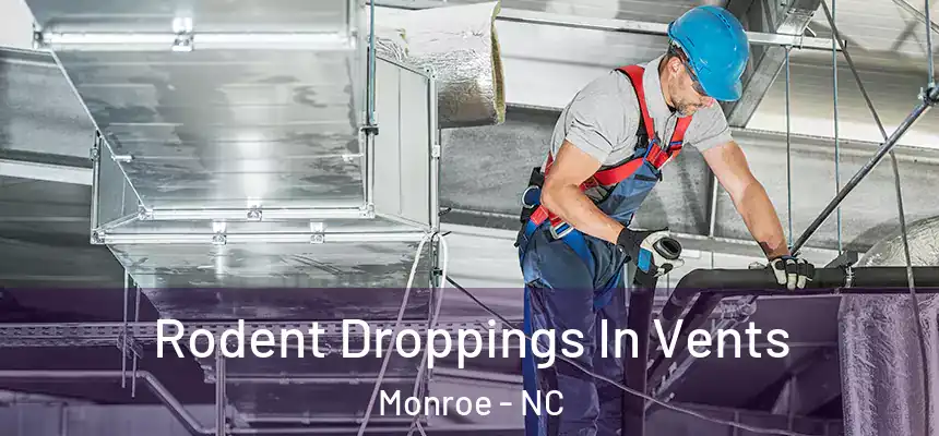 Rodent Droppings In Vents Monroe - NC