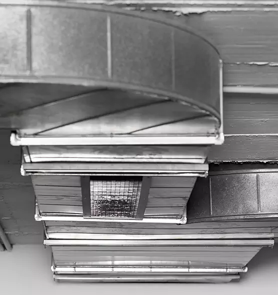 Professional Air Duct Pest Removal in Monroe, NC