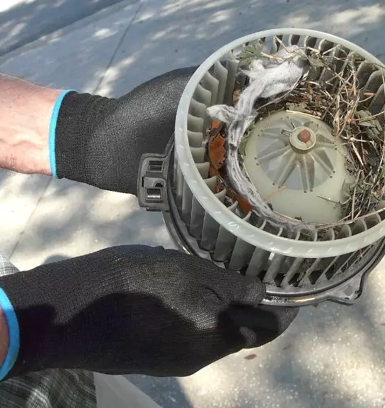 About Air Duct Rat Removal in Monroe, NC